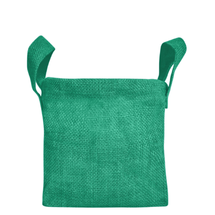 Wintergreen rb 12 02
