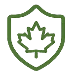 icon 06